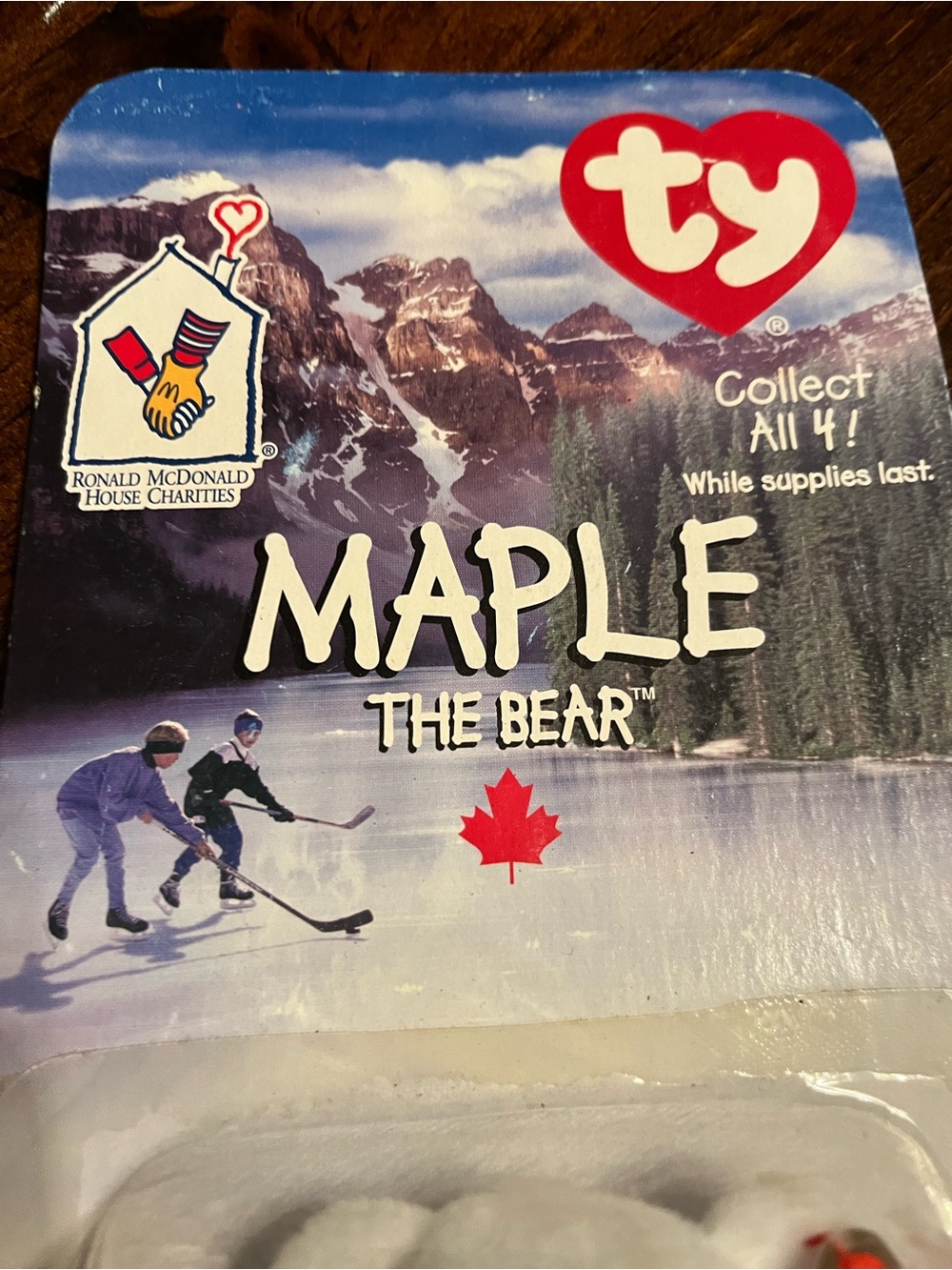 Ty White Maple the Bear Plush with Red Accents - Picture 5 of 5